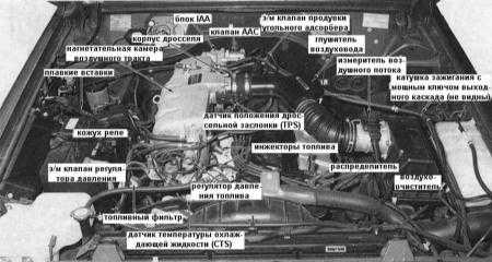 6.2.1 впрыска топлива (EFI) и управления двигателем - модели 4.2 л выпуска после 1992 г.